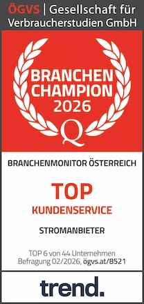 BranchenChampion 2026 - Top Kundenservice Stromanbieter